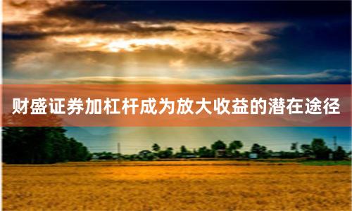 财盛证券加杠杆成为放大收益的潜在途径